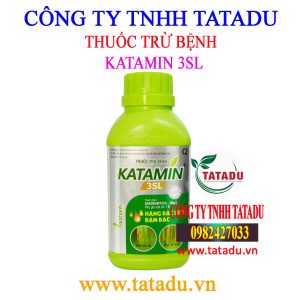 KATAMIN 3SL 1