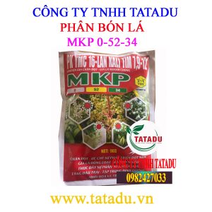 MKP 0 52 34 Y MY
