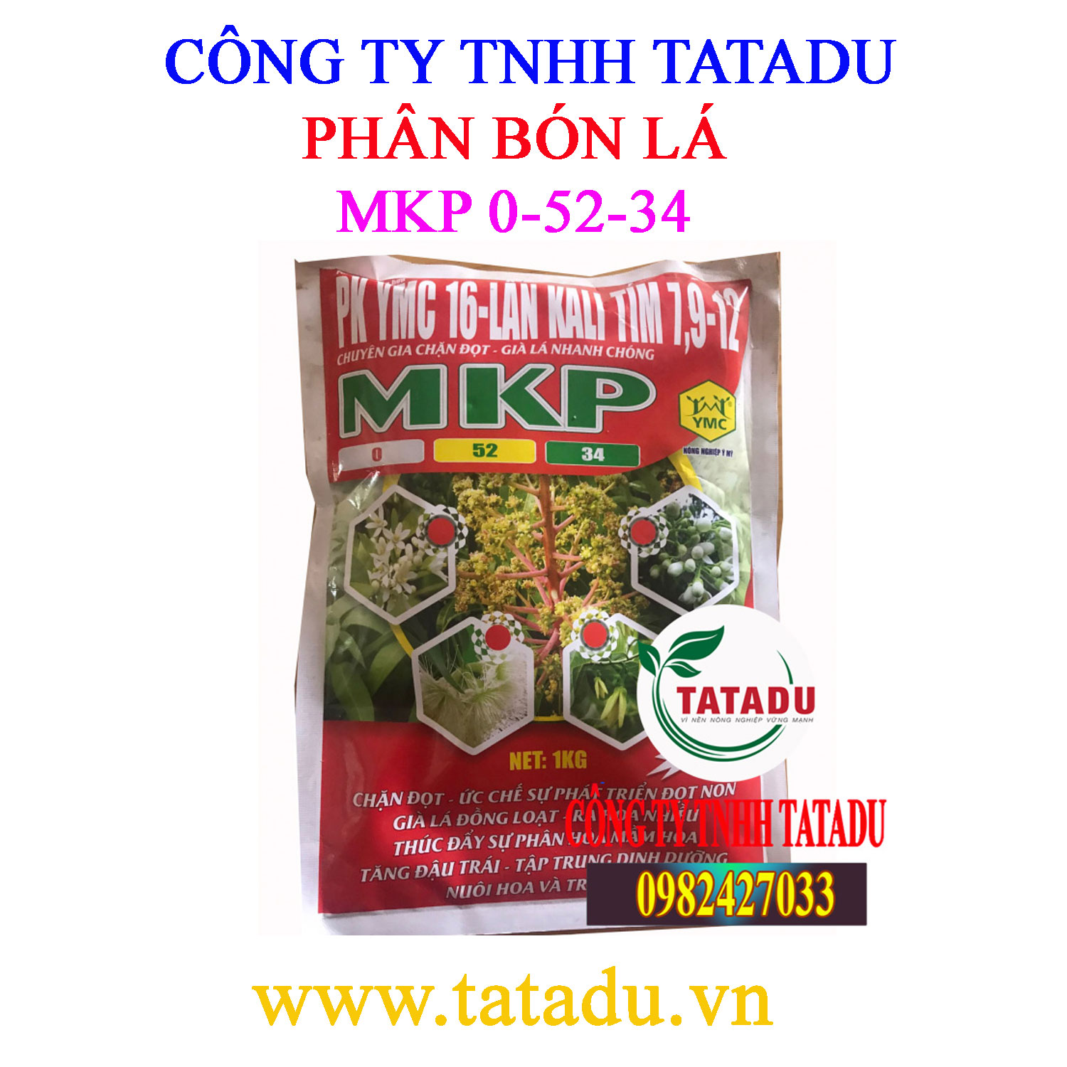 MKP 0 52 34 Y MY