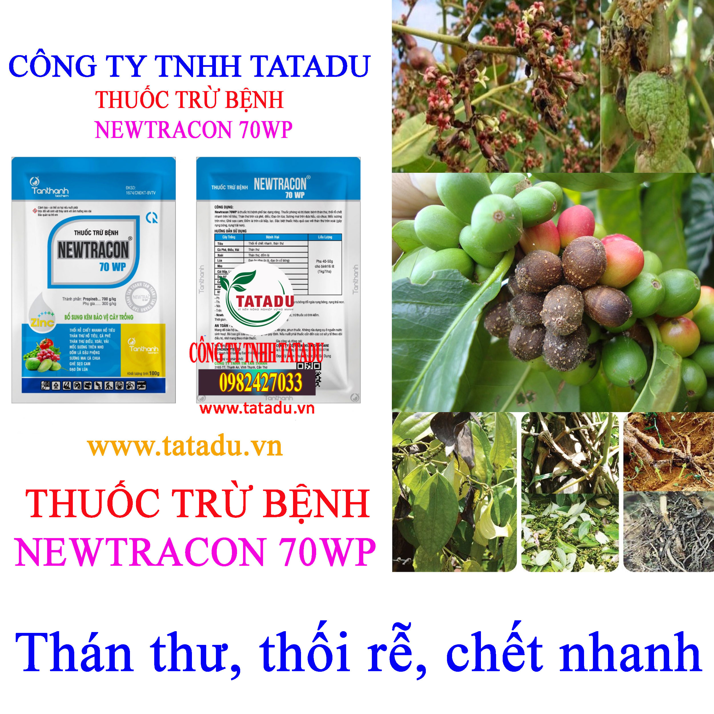NEWTRACON 70WP than thu NEWTRACON 70WP than thu