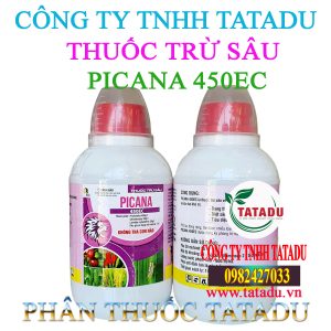 PICANA 450E TIM