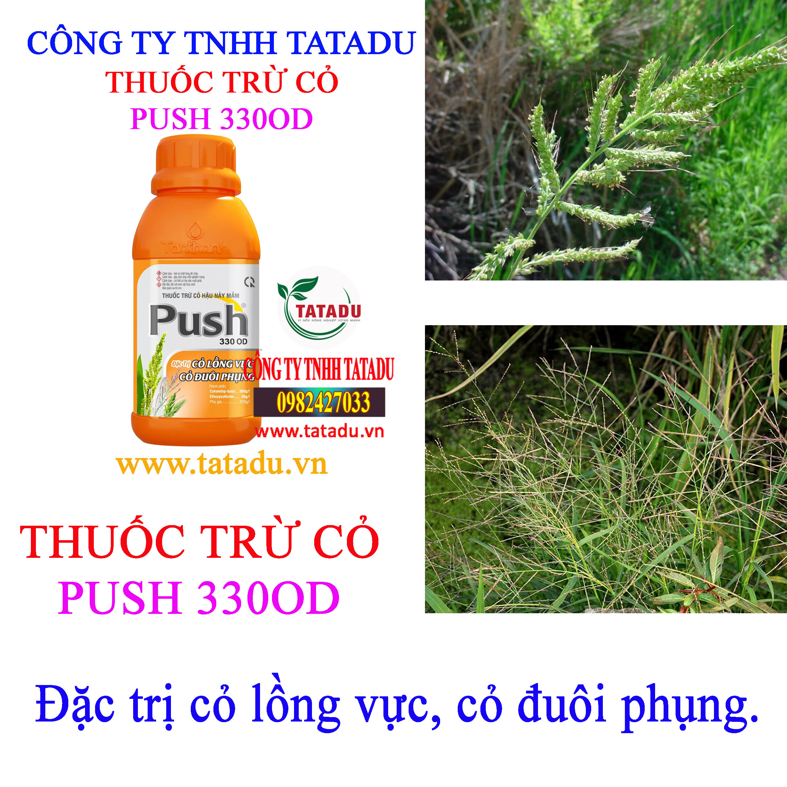 PUSH 330OD co long vuc PUSH 330OD co long vuc