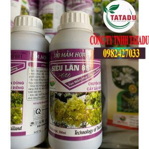 SIÊU LÂN 86