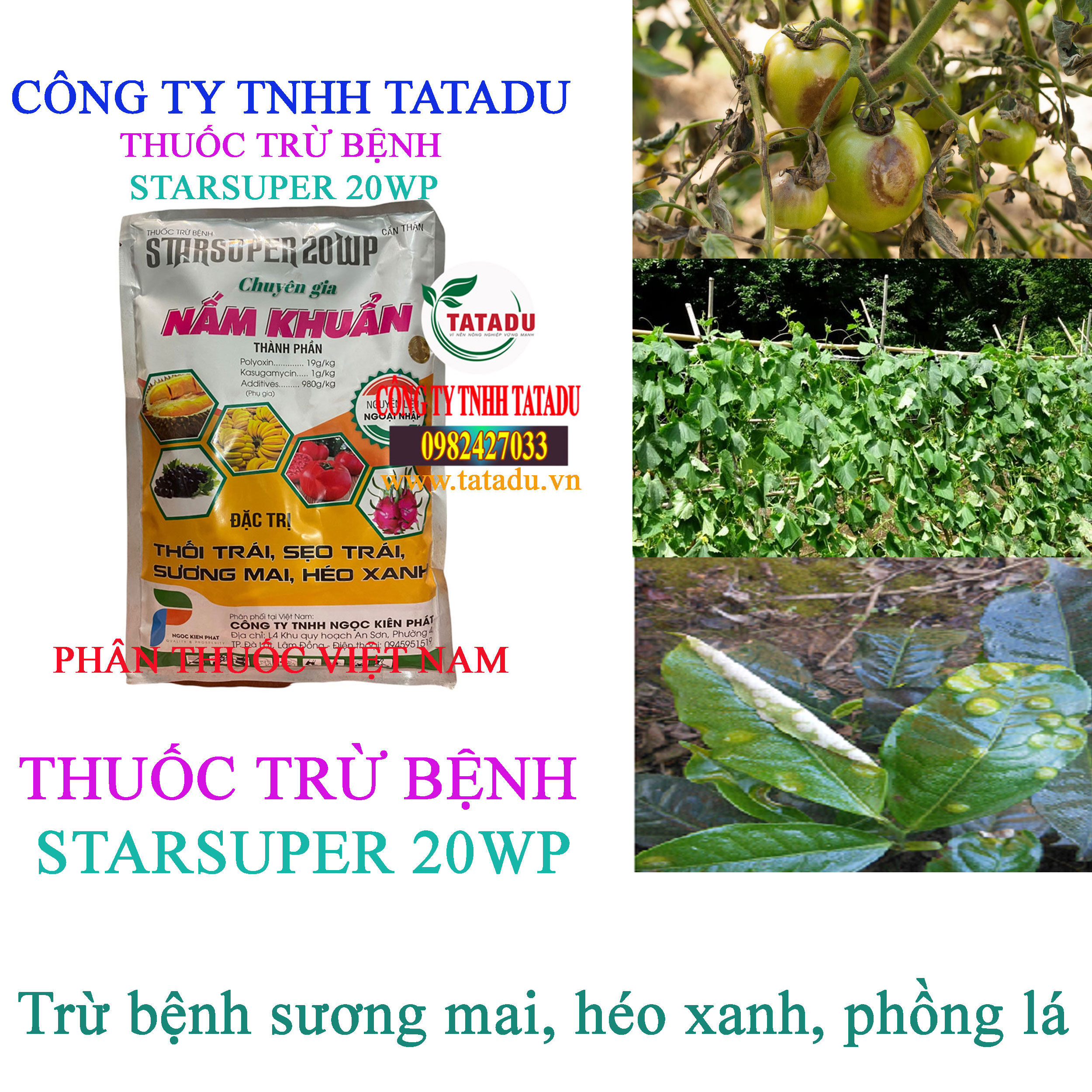 STARSUPER 20WP suong mai STARSUPER 20WP suong mai