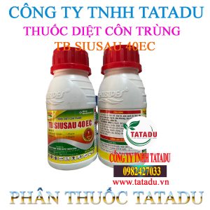 TB SIUSAU 40EC 1