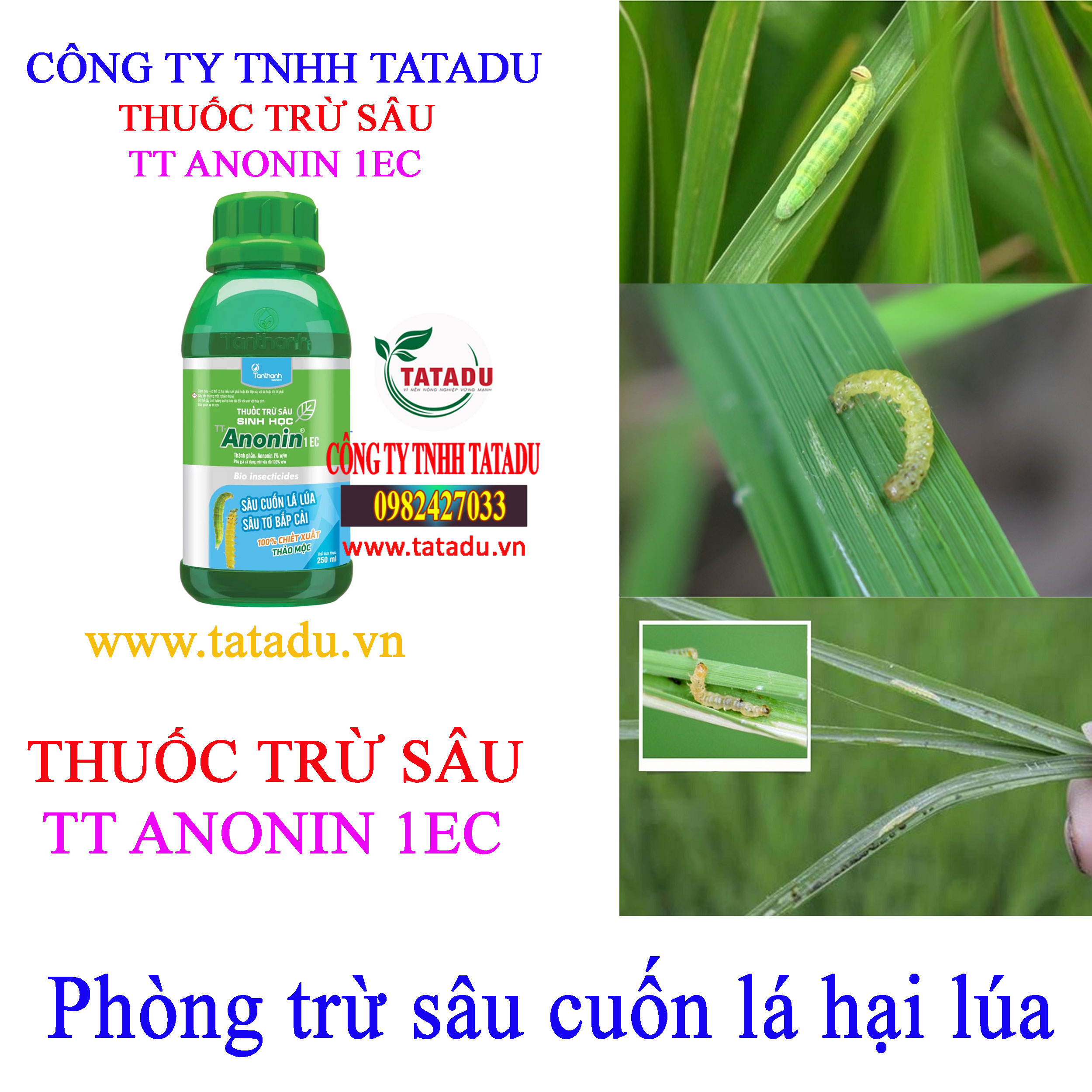 TT ANONIN 1EC sau cuon la TT ANONIN 1EC sau cuon la