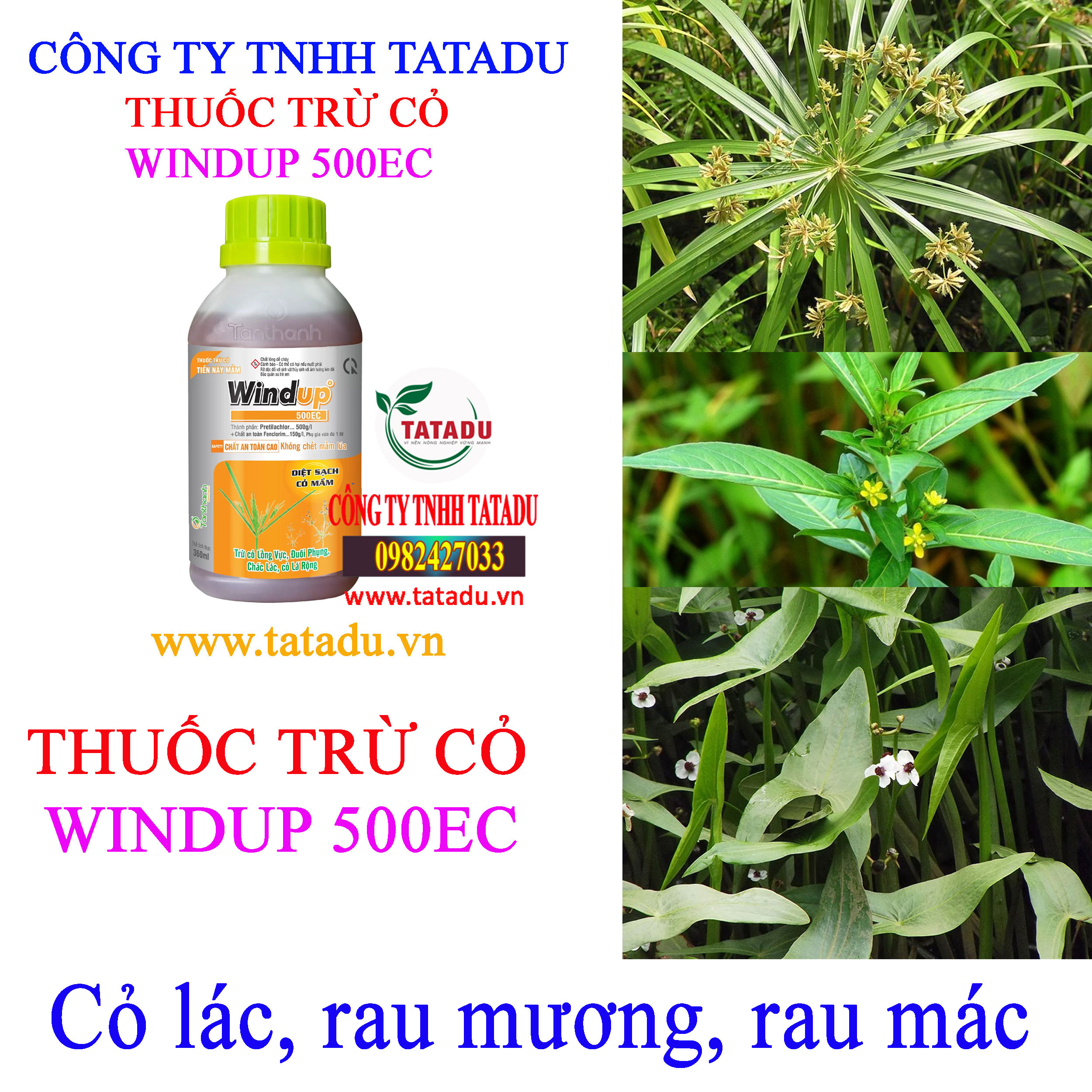 WINDUP 500EC co lac WINDUP 500EC co lac