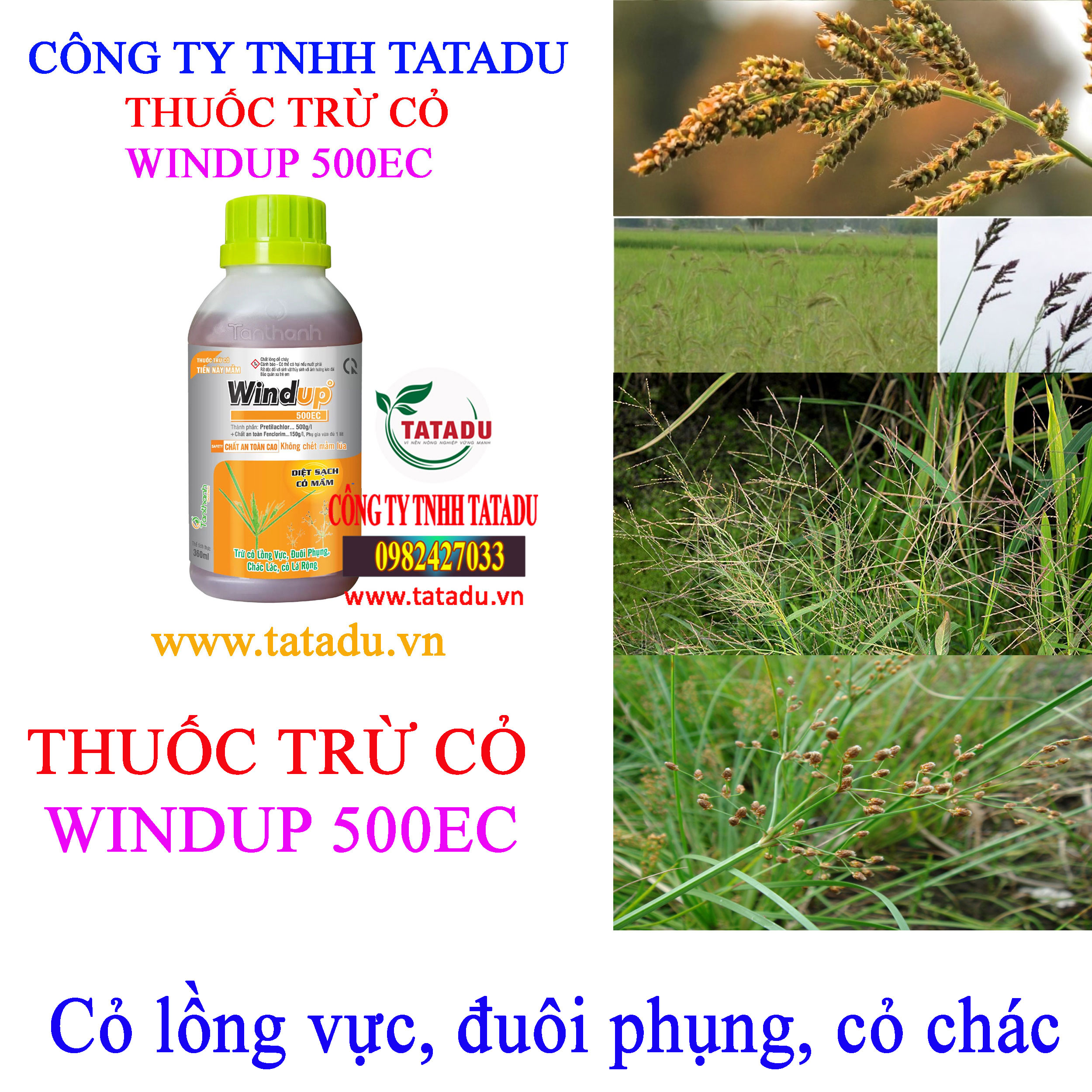 WINDUP 500EC co long vuc WINDUP 500EC co long vuc