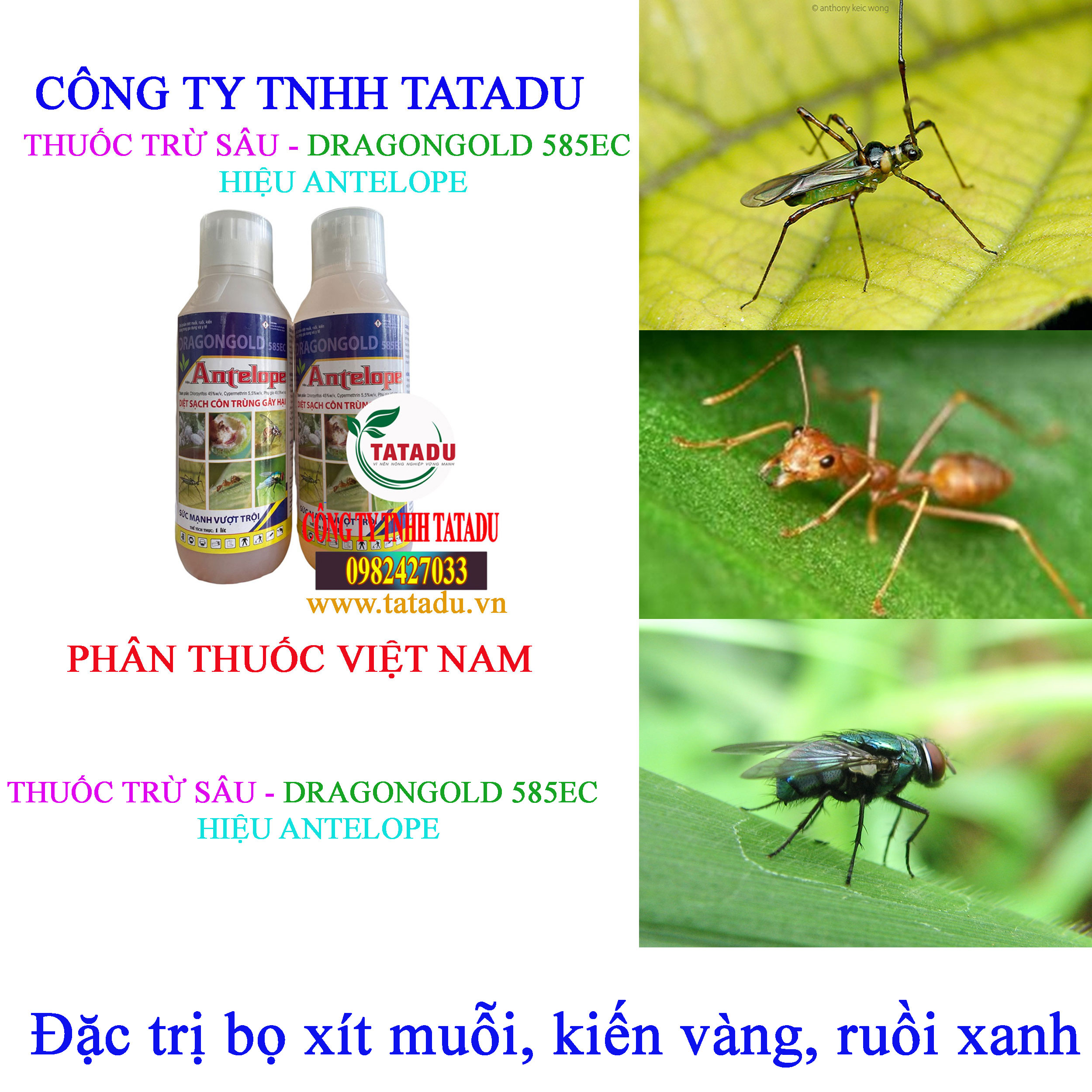 DRAGONGOLD 585EC bo xit muoi DRAGONGOLD 585EC bo xit muoi