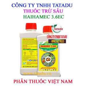 HAIHAMEC 3.6EC NHAN VANG