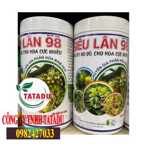 SIÊU LÂN 98 1