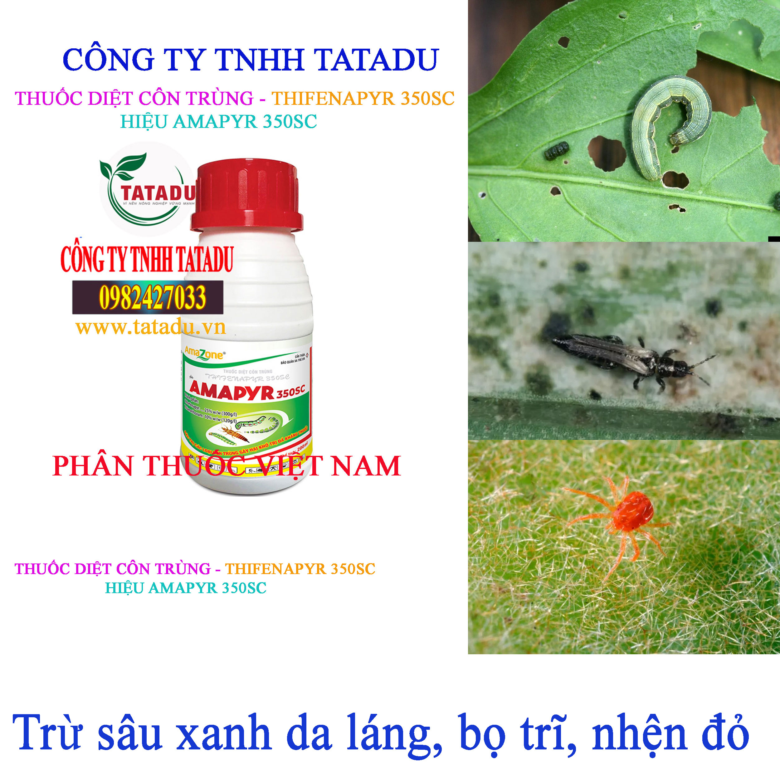 AMAPYR 350SC sau xanh da lang