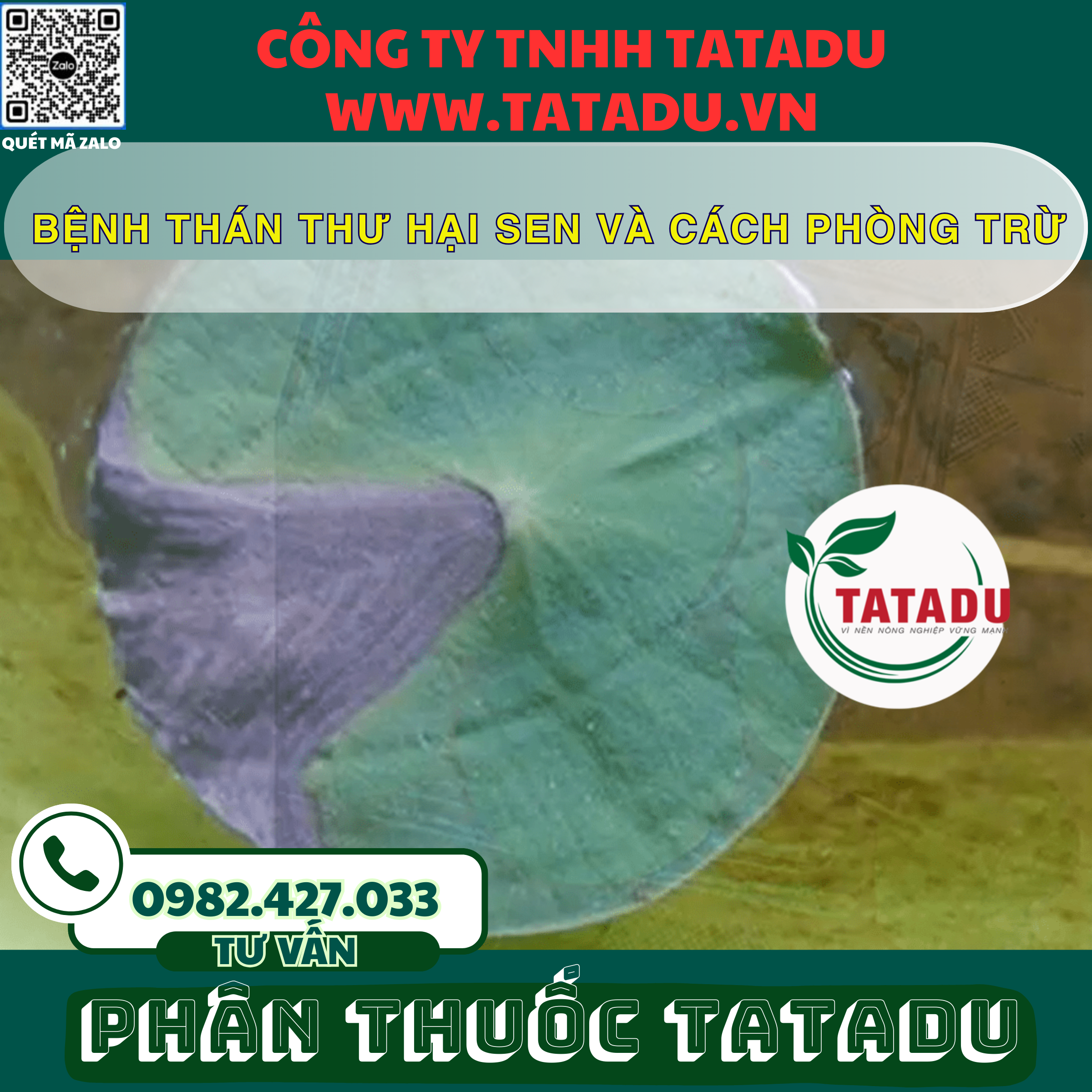 BENH THAN THU HAI SEN VA CACH PHONG TRU