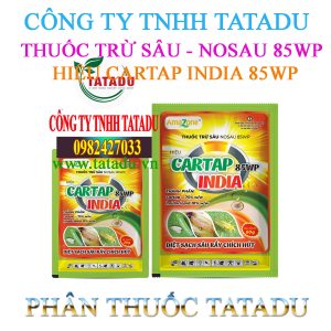 CARTAP INDIA 85WP 1