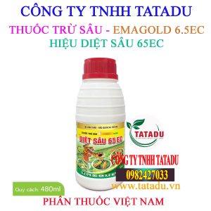DIET SAU 65EC