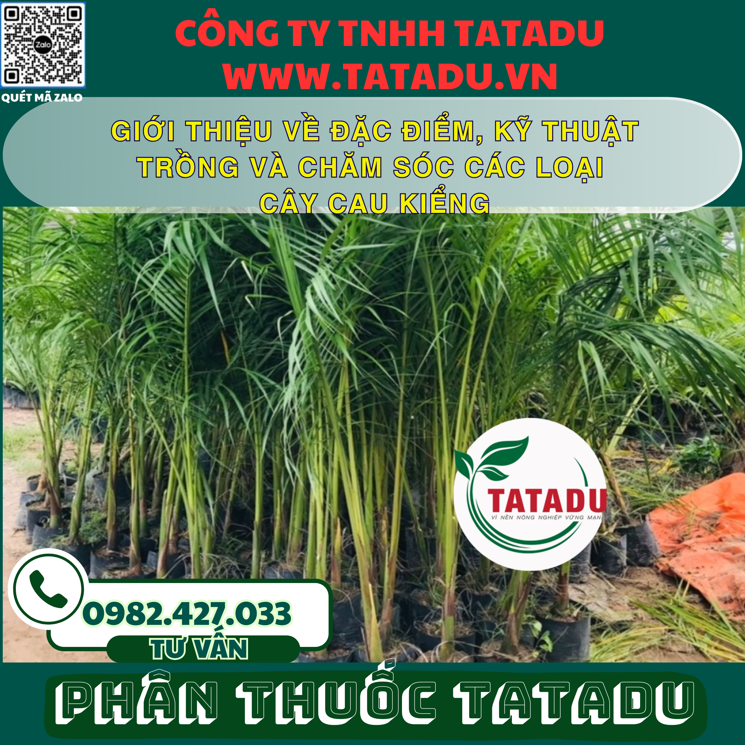 GIOI THIEU VE DAC DIEM KY THUAT TRONG VA CHAM SOC CAC LOAI CAY CAU KIENG