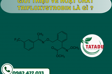 GIỚI THIỆU VỀ HOẠT CHẤT TRIFLOXYSTROBIN LÀ GÌ ?