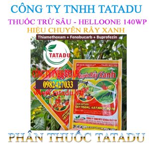 HELLOONE 140WP CHUYEN RAY XANH