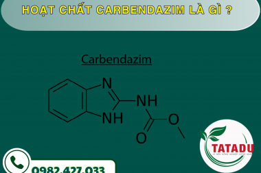 HOẠT CHẤT CARBENDAZIM LÀ GÌ ?