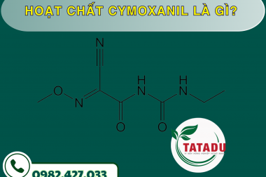 HOẠT CHẤT CYMOXANIL LÀ GÌ ? – CÔNG TY TNHH TATADU