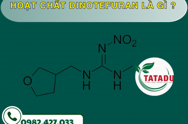 HOẠT CHẤT DINOTEFURAN LÀ GÌ ?