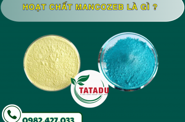 HOẠT CHẤT MANCOZEB LÀ GÌ ?