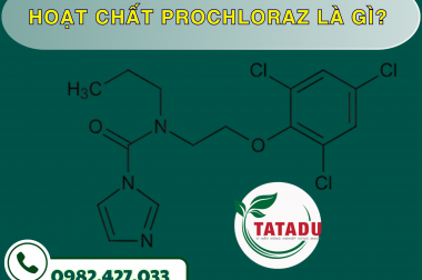 HOẠT CHẤT PROCHLORAZ LÀ GÌ? – CÔNG TY TNHH TATADU