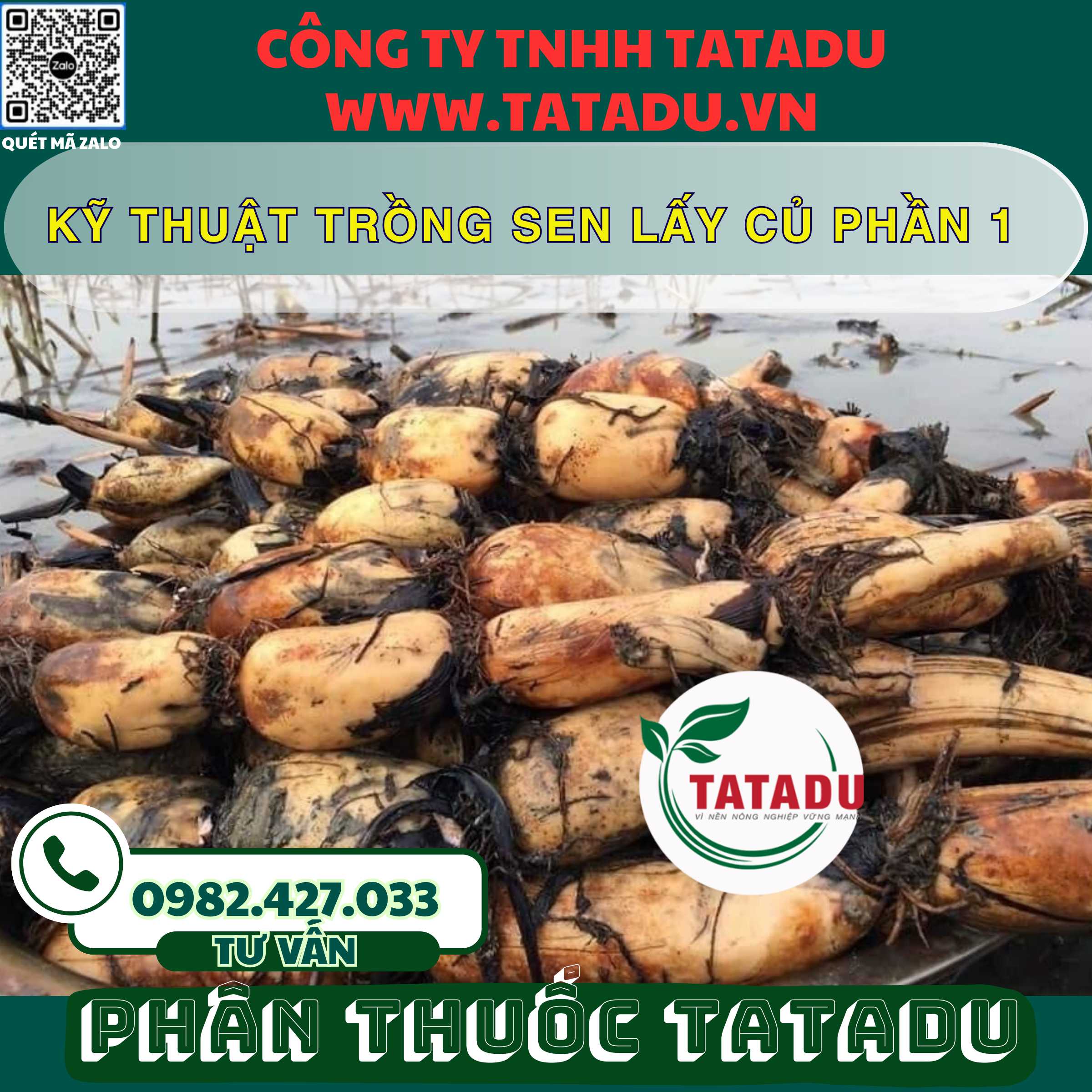 KY THUAT TRONG SEN LAY CU PHAN 1