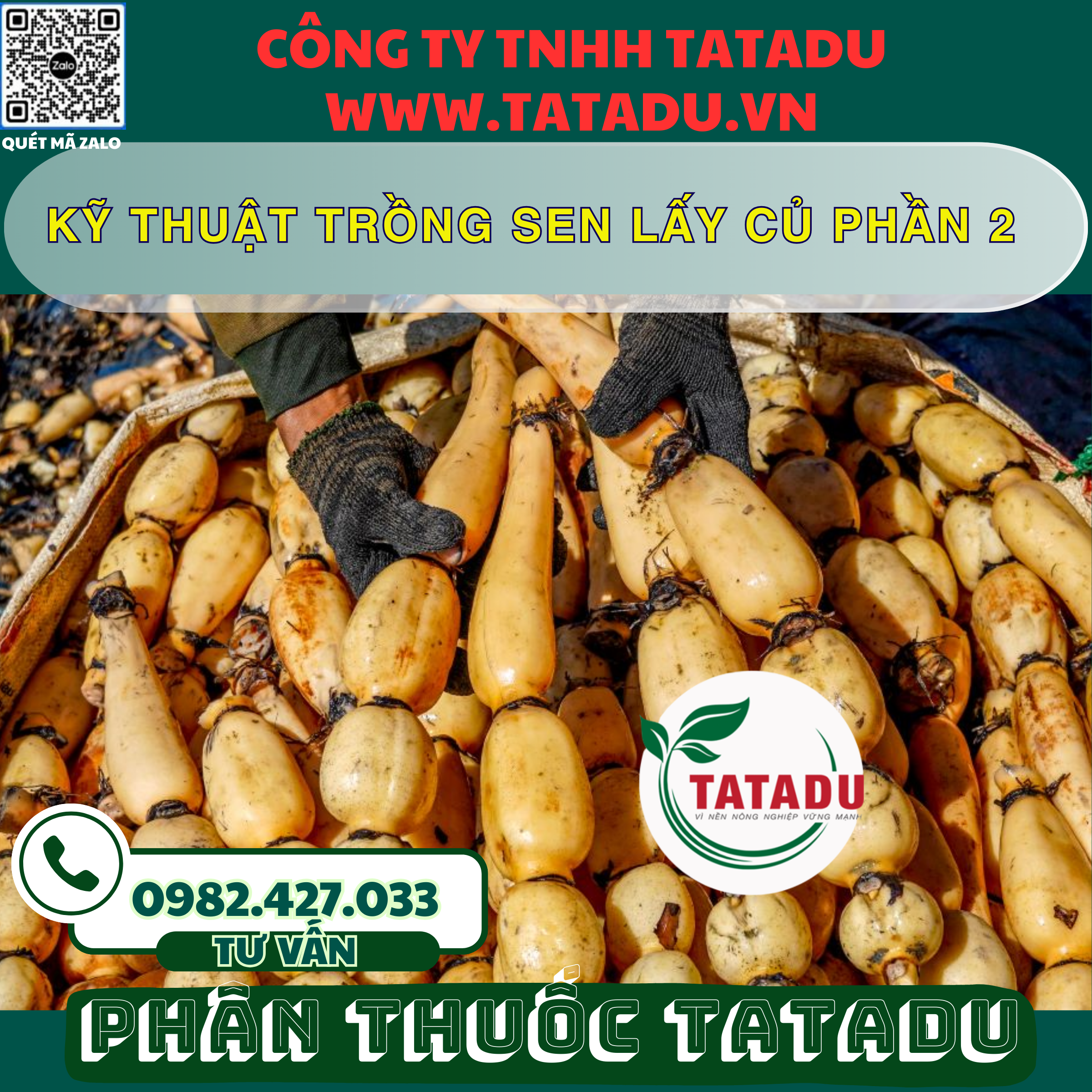 KY THUAT TRONG SEN LAY CU PHAN 2