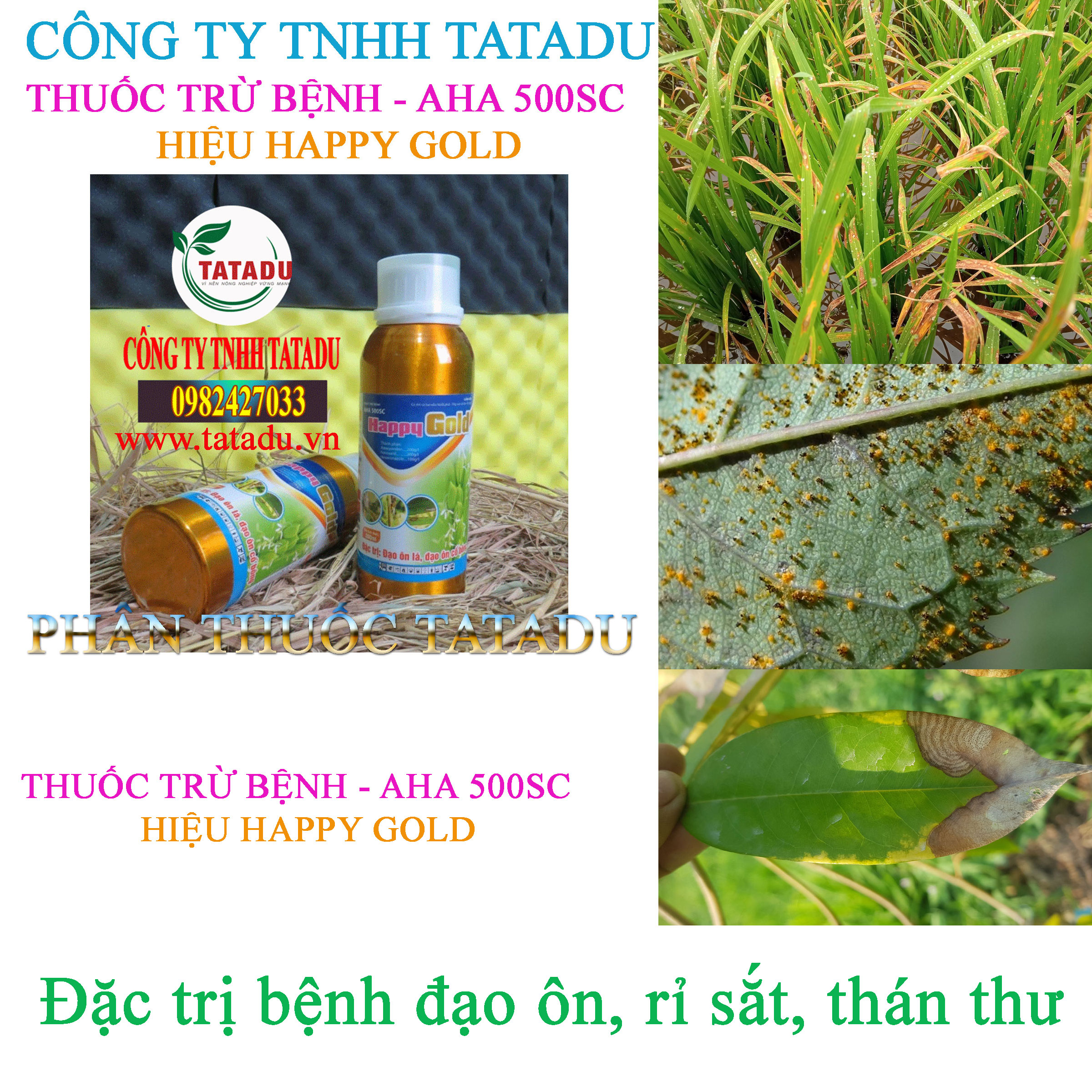 AHA 500SC HAPPY GOLD tri benh dao on AHA 500SC HAPPY GOLD tri benh dao on
