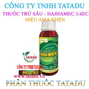 AMA NHEN