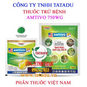 AMTIVO 750WG 1