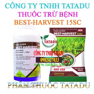 BEST HARVEST 15SC 1