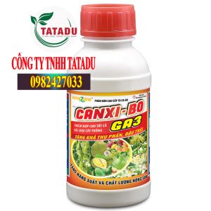 CANXI BO GA3