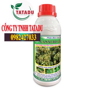 CANXI BO GA3 CHUYÊN CÂY XOÀI 1