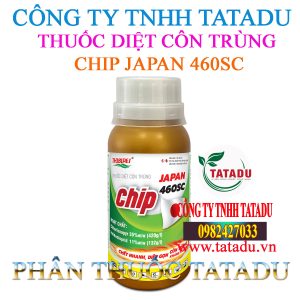 CHIP JAPAN 460SC 1