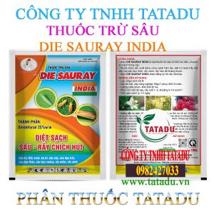 DIE SAURAY INDIA 1