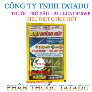 DIET CHICH HUT