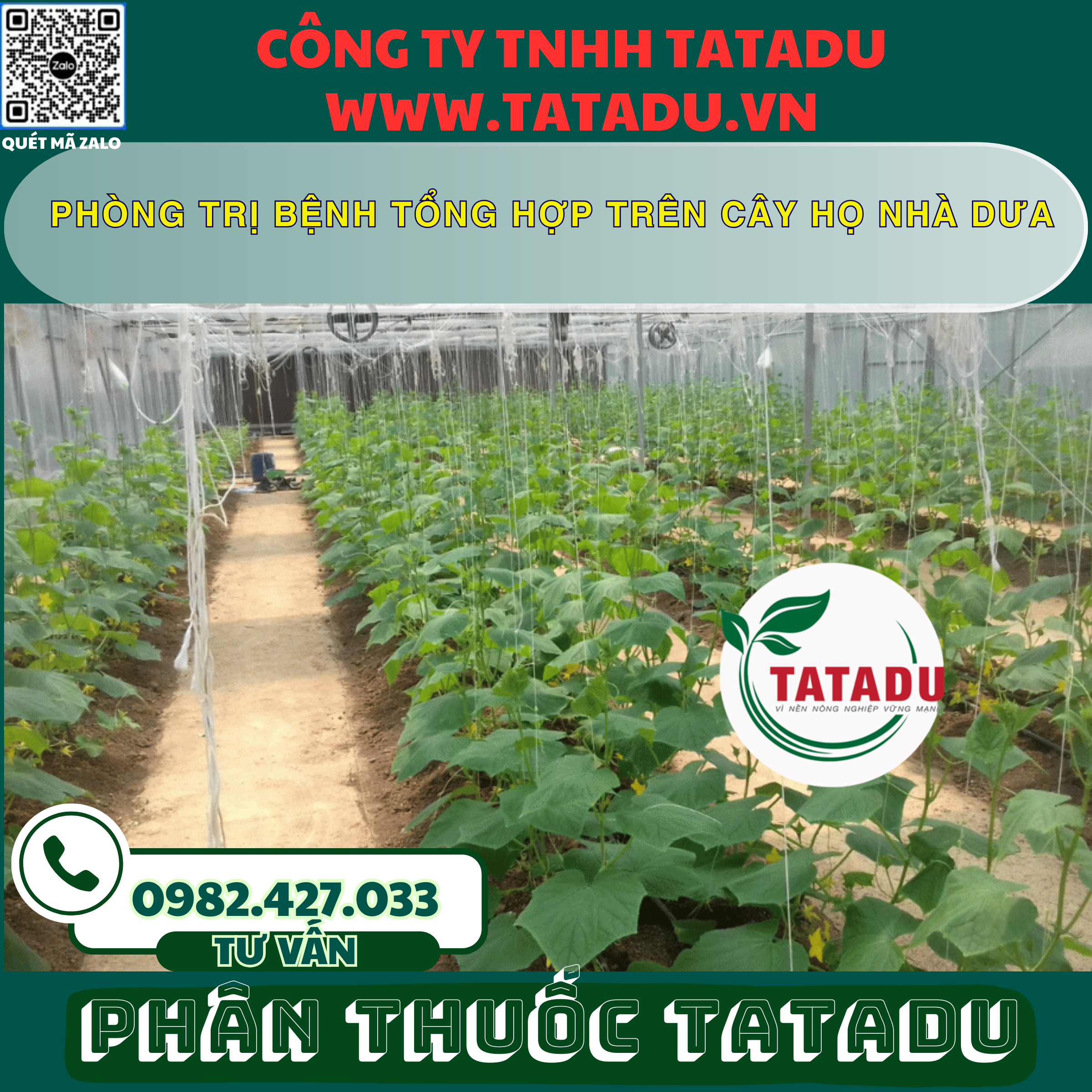 PHONG TRI BENH TONG HOP TREN CAY HO NHA DUA