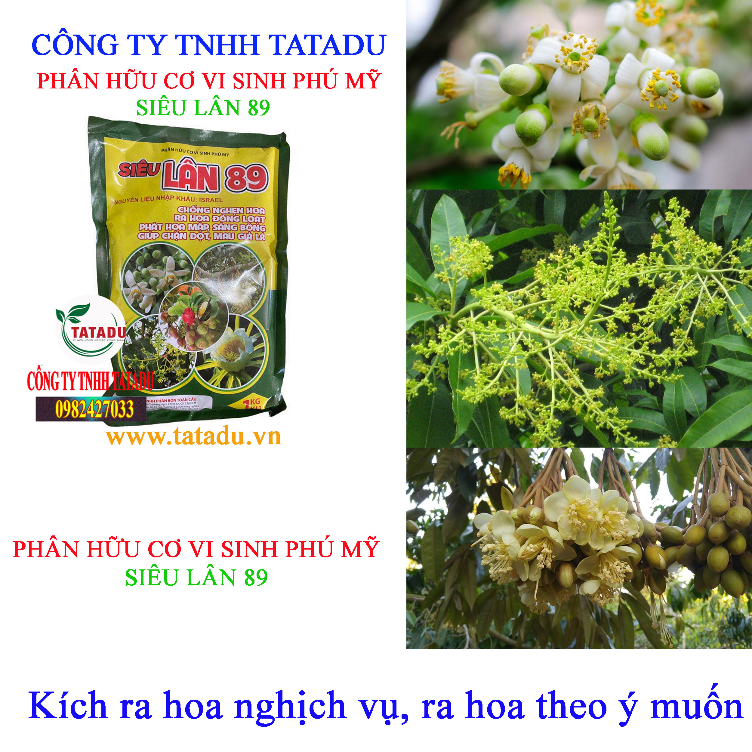 SIEU LAN 89 ra hoa SIEU LAN 89 ra hoa