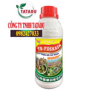 TB FOSKASA