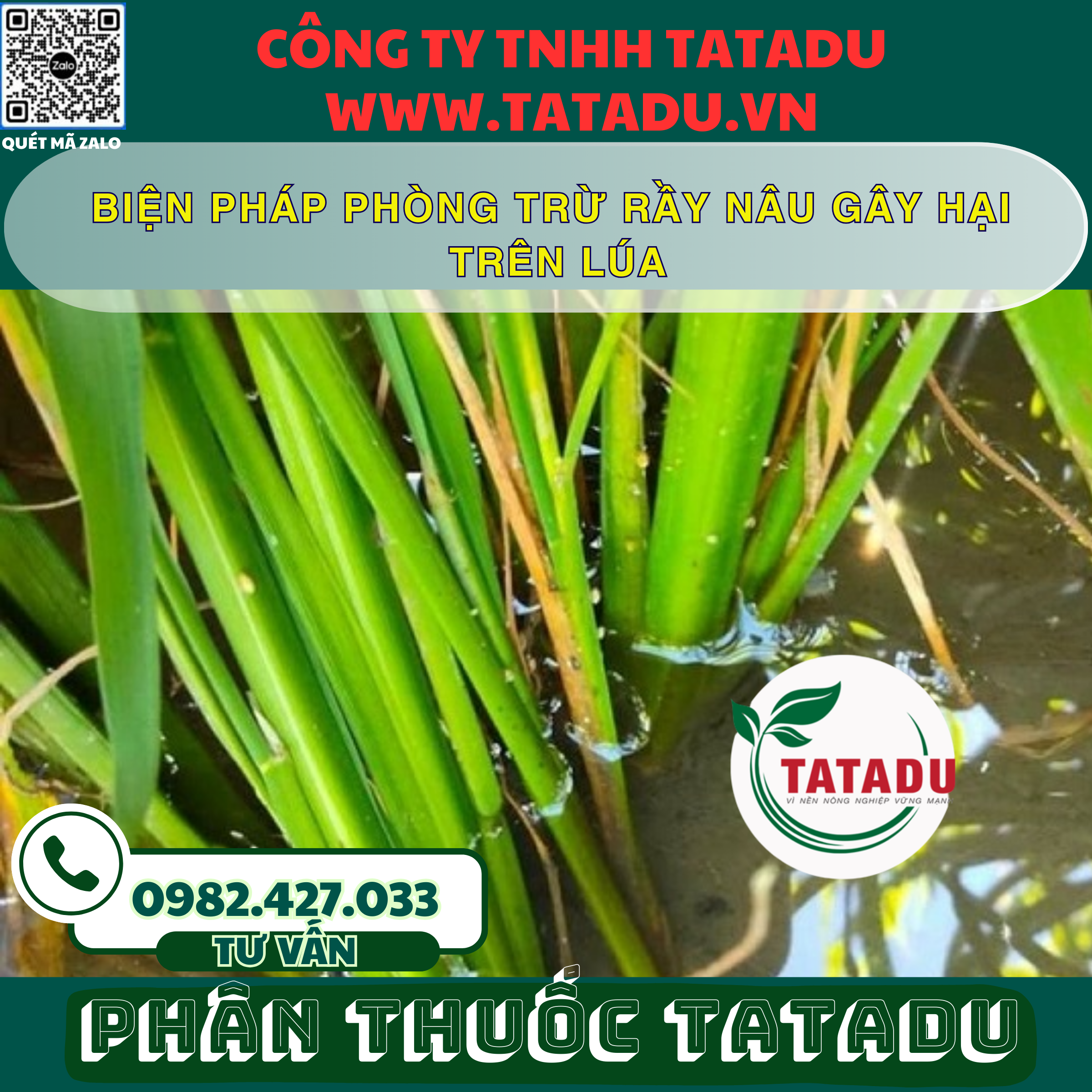 BIEN PHAP PHONG TRU RAY NAU GAY HAI TREN LUA