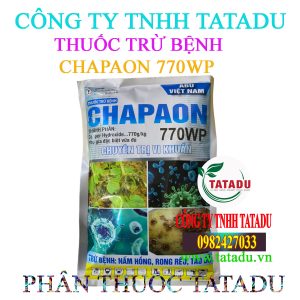 CHAPAON 770WP 1