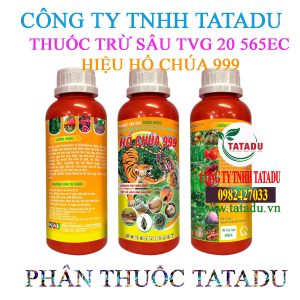 HO CHUA 999