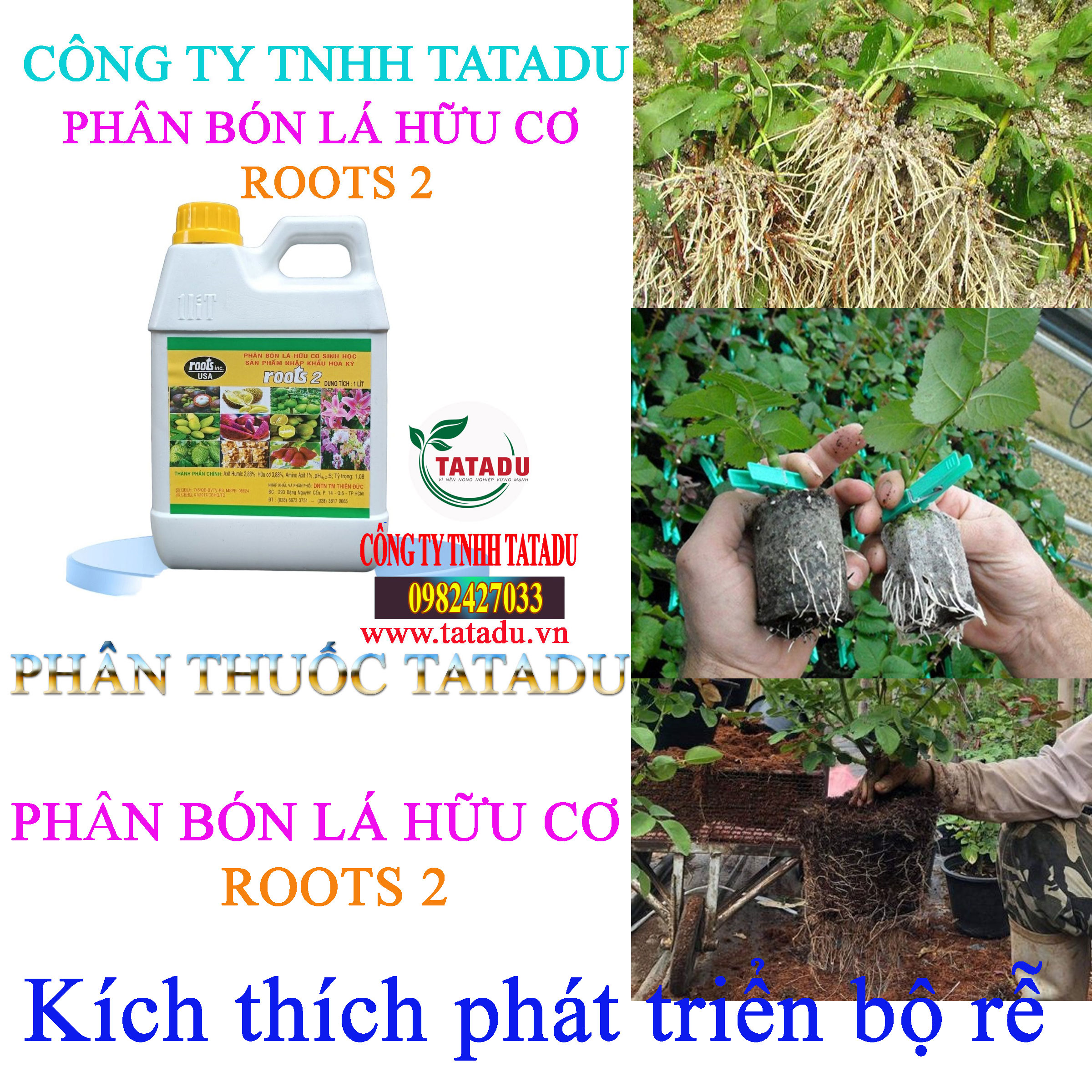 ROOTS 2 kich thich ra re ROOTS 2 kich thich ra re