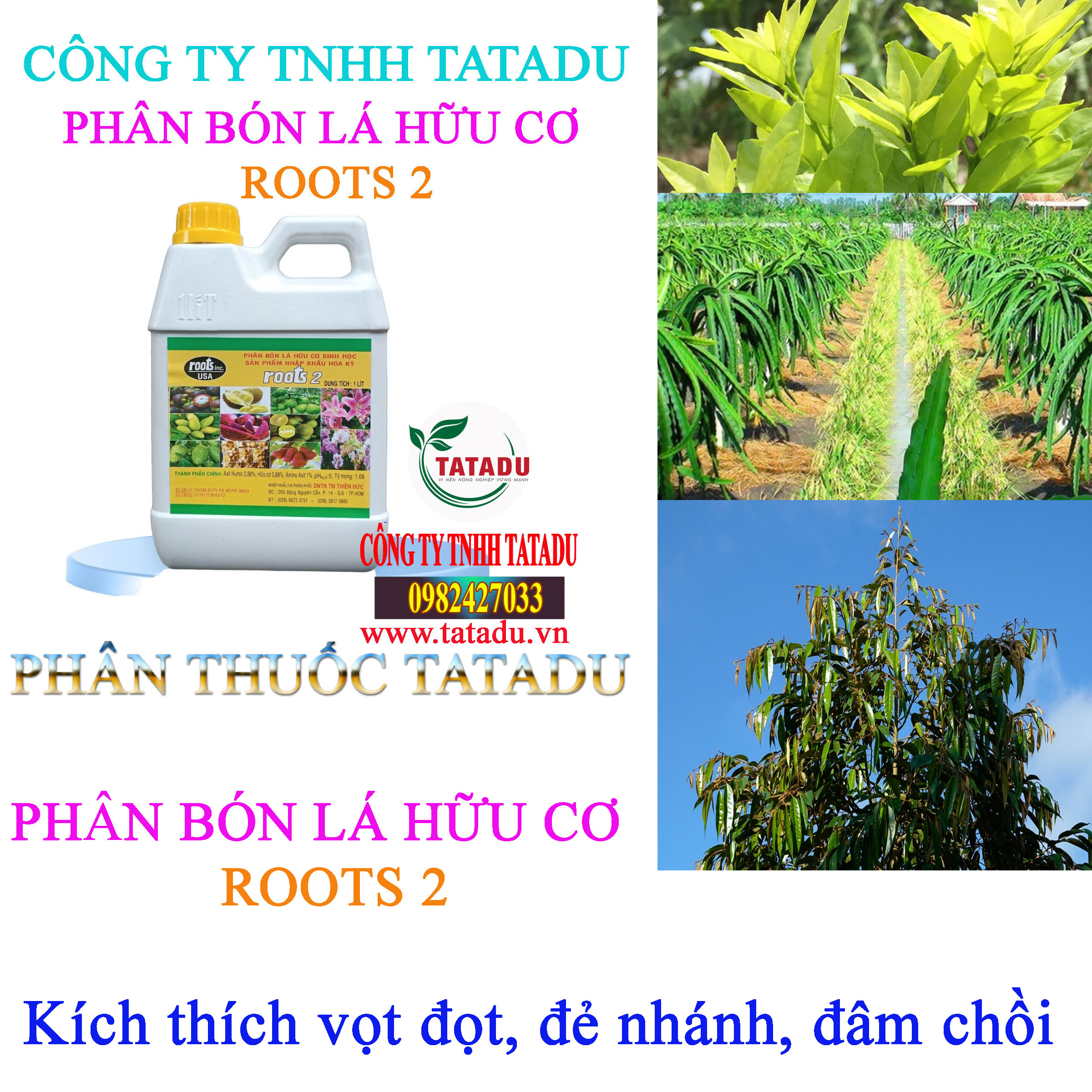 ROOTS 2 kich vot dot ROOTS 2 kich vot dot
