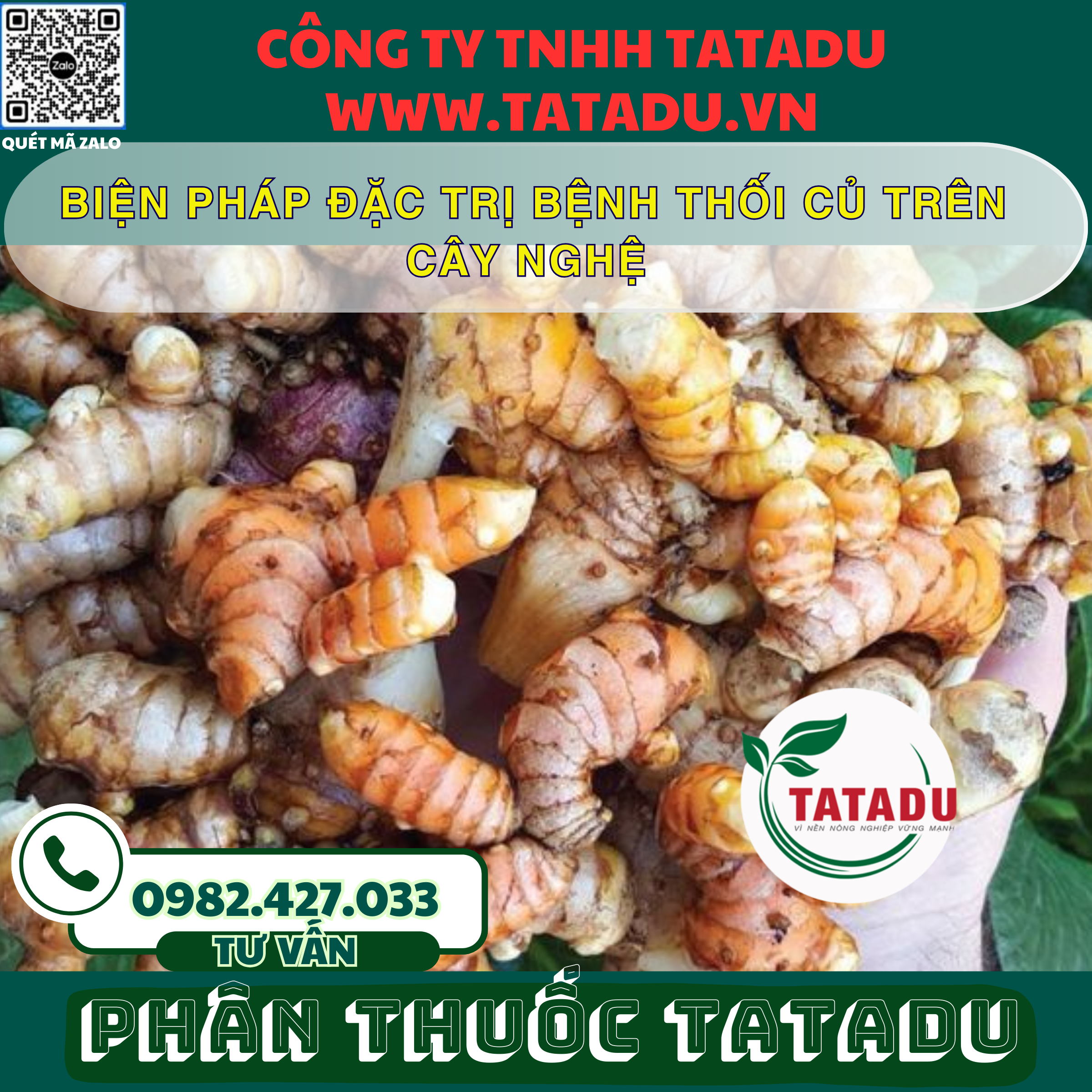 BIEN PHAP DAC TRI BENH THOI CU TREN CAY NGHE