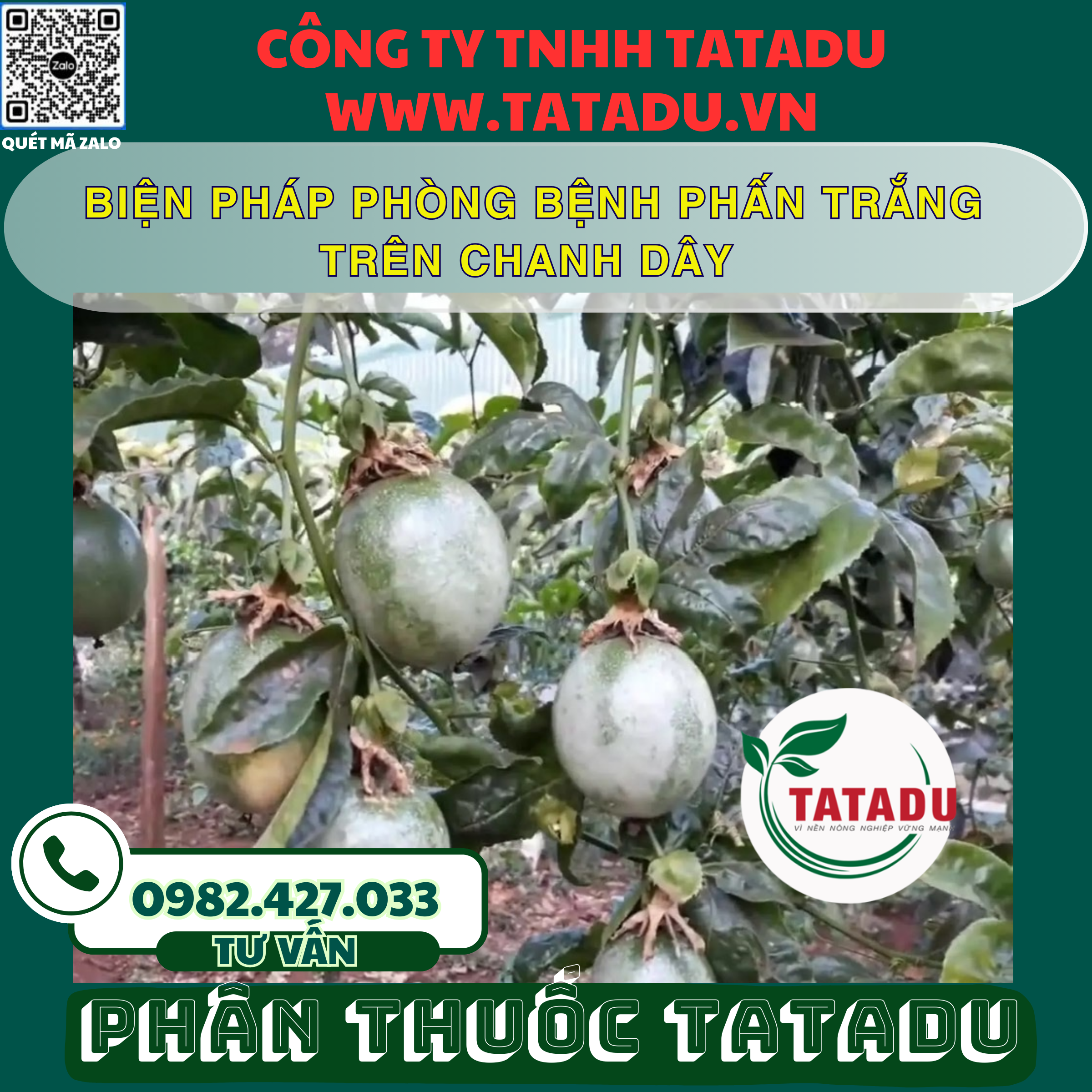 BIEN PHAP PHONG BENH PHAN TRANG TREN CHANH DAY