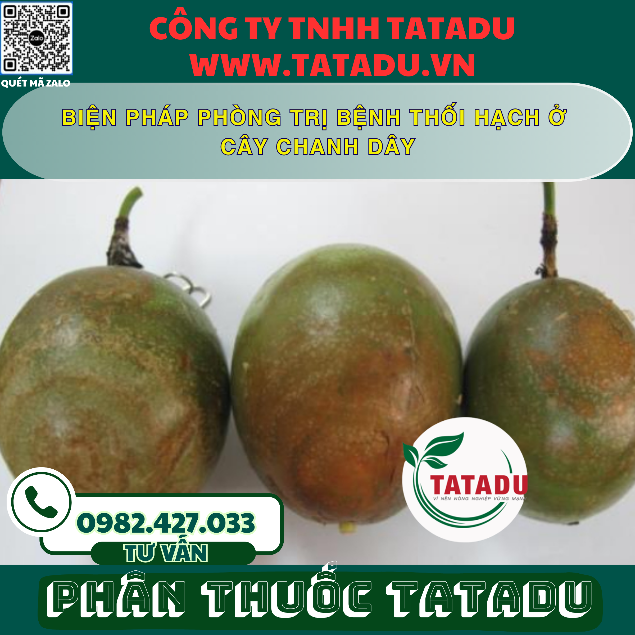BIEN PHAP PHONG TRI BENH THOI HACH O CAY CHANH DAY