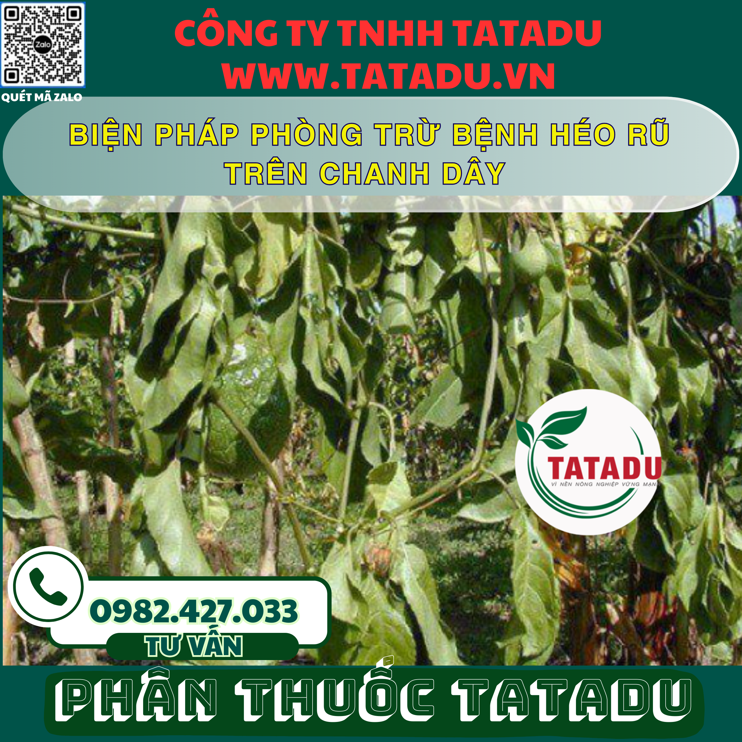 BIEN PHAP PHONG TRU BENH HEO RU TREN CHANH DAY